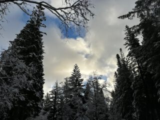 Bergen

Um 04:30 Uhr war die Nacht vorbei. Konnte nicht mehr schlafen. Das Schiff rollt und stampft ein wenig, da wir gerade quer zum Wind- und Wellenfeld laufen. Die Wellen schlagen immer noch an das Fenster.

https://www.vollmersweb.de/2025/bergen/