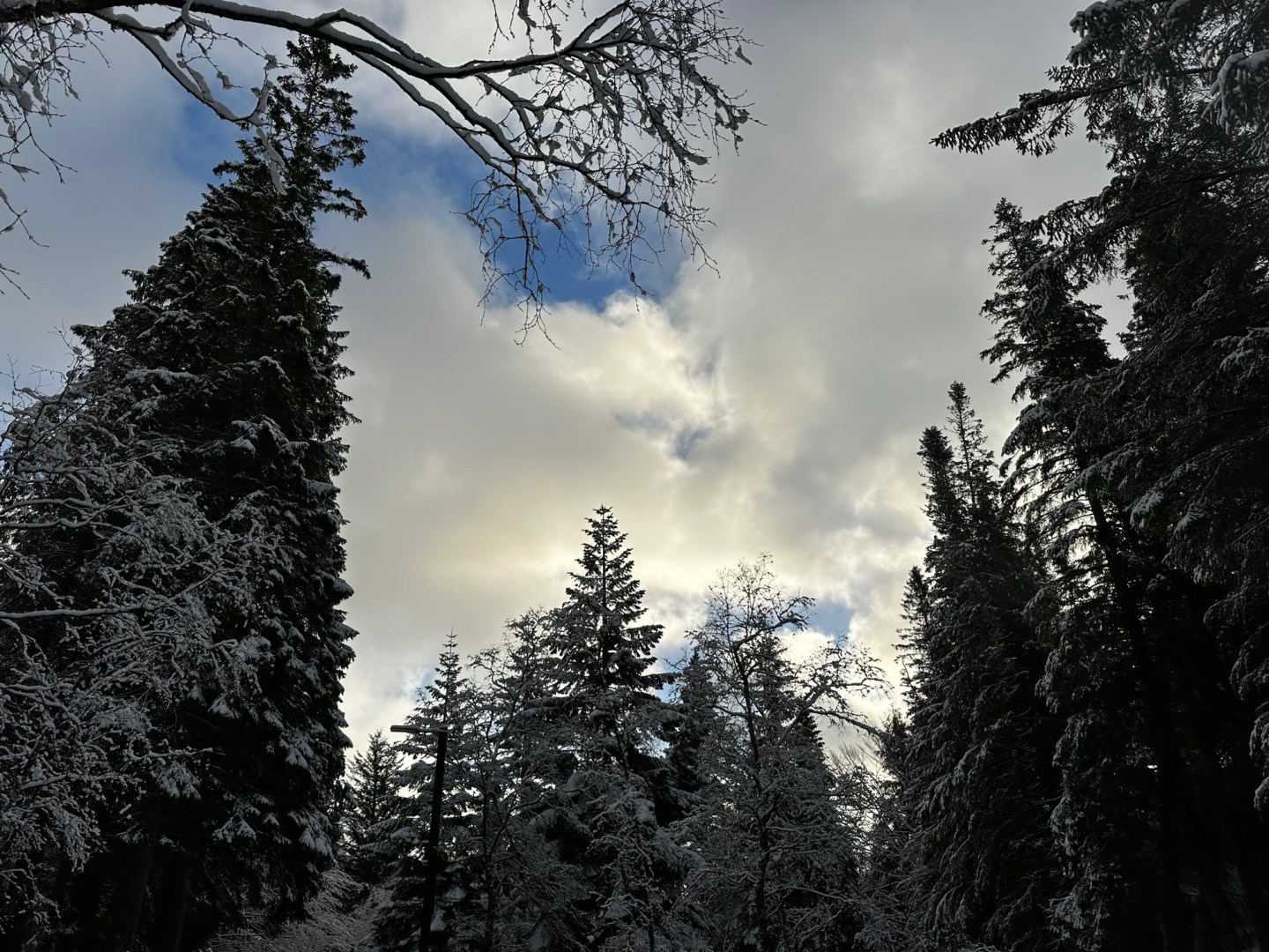 Bergen

Um 04:30 Uhr war die Nacht vorbei. Konnte nicht mehr schlafen. Das Schiff rollt und stampft ein wenig, da wir gerade quer zum Wind- und Wellenfeld laufen. Die Wellen schlagen immer noch an das Fenster.

https://www.vollmersweb.de/2025/bergen/