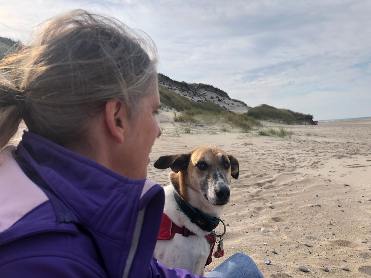 Nachdem Raya vom morgendlichen Strandspaziergang sehr müde war (es waren gerade einmal 1,5km). War am heutigen Tag nicht viel los. Alles entspannt geregelt. Ein bisschen bei Epidemicsound gesurft. Informationen über Norwegen gesucht. Und ein paar kleine Fotovideos erstellt.

https://www.vollmersweb.de/2025/wie-schnell-ist-nichts-getan/