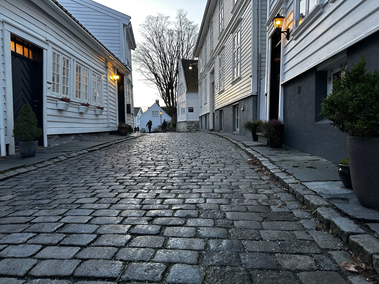 Seetag zwei

Reise NOOSL -> DEHAM

Und wieder: French Kiss Frühstück

Die Morgenstimmung genossen und danach in der Loge7 Filme sortiert, gelesen und gechillt. Mit der Zeit wurde es immer voller und lauter. Eben typisch für einen Seetag.

https://www.vollmersweb.de/2025/seetag-zwei/