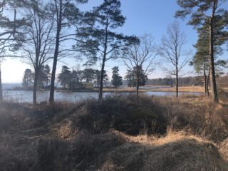 Das war ja mal was. Kurzentschlossen sind wir für einen Tag nach Schweden gefahren. Ausgangspunkt hierfür war eine Hausbesichtigung in der Kommune Olofström in Blekinge Laan....

https://www.vollmersweb.de/2025/einmal-schweden-und-zurueck/